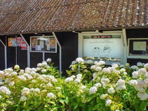 Vodatent Camping Gorishoek  - Tholen - Image N°14