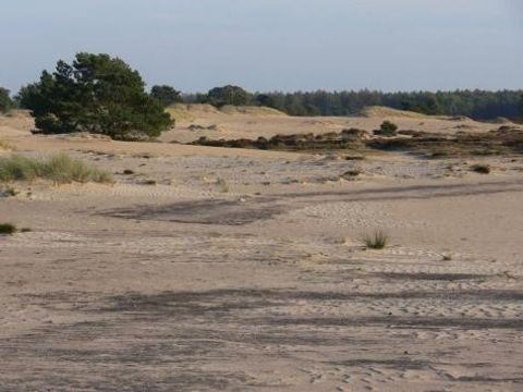 Vodatent Camping Alkenhaer - Ooststellingwerf - Image N°38