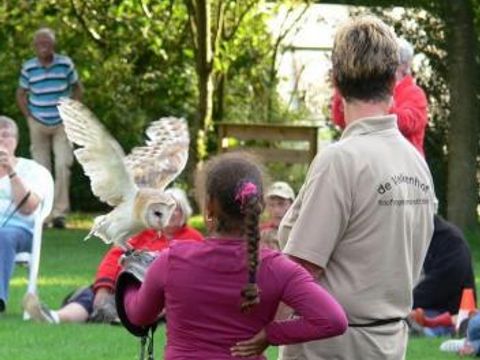 Vodatent Camping Alkenhaer - Ooststellingwerf - Image N°17