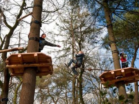 Vodatent Camping Alkenhaer - Ooststellingwerf - Image N°24