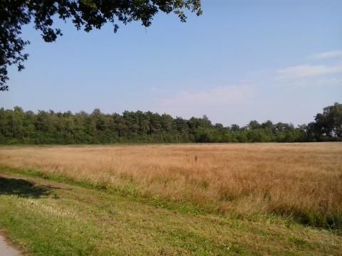 Vodatent Camping Alkenhaer - Ooststellingwerf - Image N°31