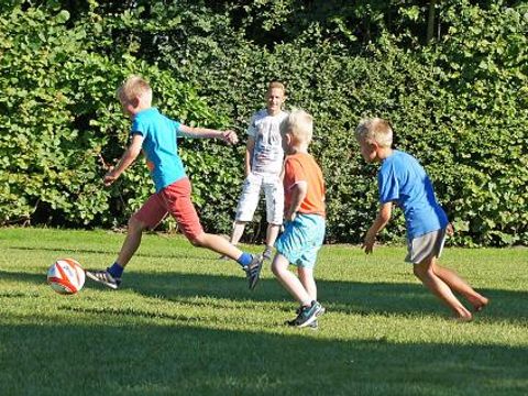 Vodatent Camping Alkenhaer - Ooststellingwerf - Image N°8