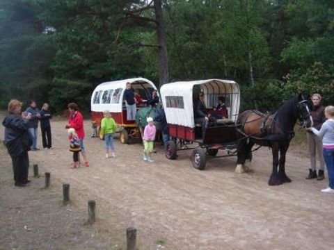 Vodatent Camping Alkenhaer - Ooststellingwerf - Image N°13