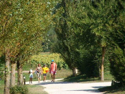 Vodatent Camping Le Camp de Florence - Gers - Image N°14