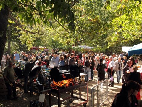 Vodatent Camping Le Rotja - Pyrénées-Orientales - Image N°4