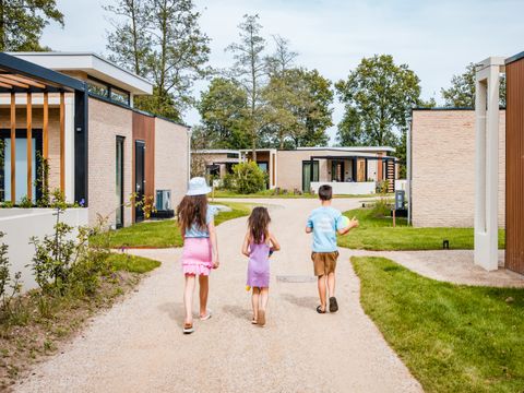 Camping het Beloofde Land - Barneveld - Image N°12