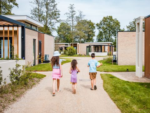 Camping het Beloofde Land - Barneveld - Image N°7