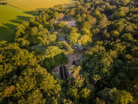 Roodewoud - Aa en Hunze