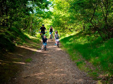 Landal Seawest - Southern Denmark