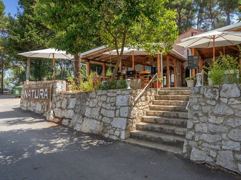 Camping Porton Nature Hideouts - Istria
