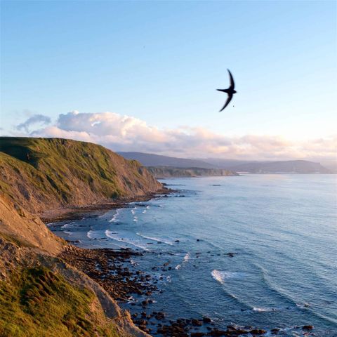 wecamp Cudillero - Asturias - Image N°6