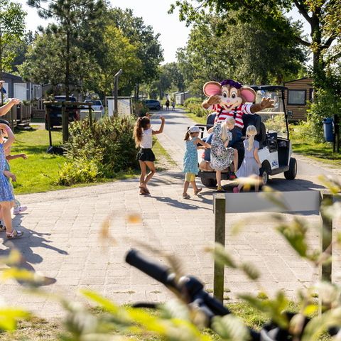 Siblu Camping Lauwersoog - Het Hogeland - Image N°2