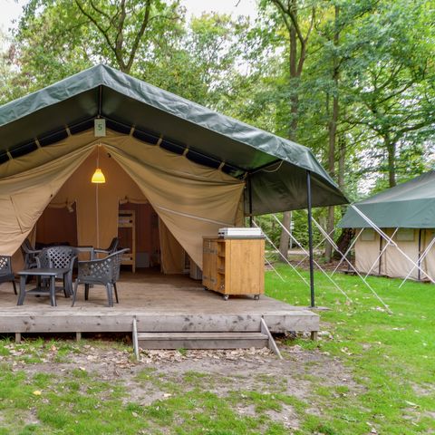 Canvas and wooden tent 6 persons - Holiday park Herperduin - Safari tent 6 persons