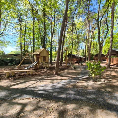 Canvas and wooden tent 6 persons - Forest Lodge incl. sanitary facilities