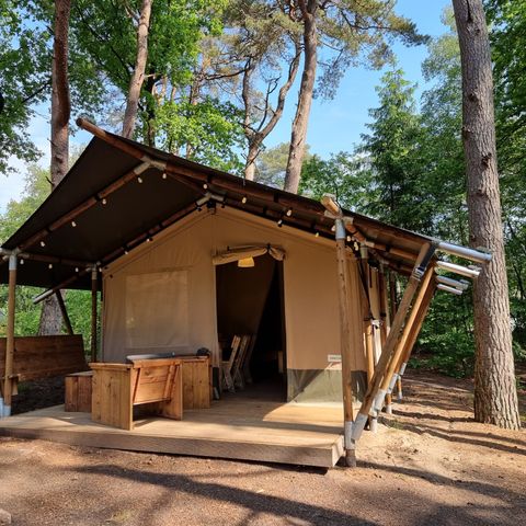 CANVAS AND WOOD TENT 4 people