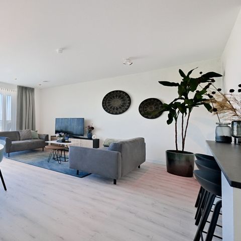 Apartment 4 persons - Pharos Dunes