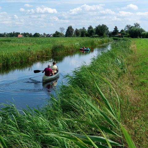 Landal de Wedderplassen - Camping Westerwolde - Image N°6