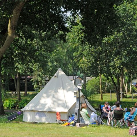 Camping Zavelbos - Camping Belgian Limburg - Image N°5