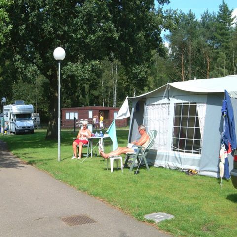 Camping Zavelbos - Camping Belgian Limburg - Image N°2