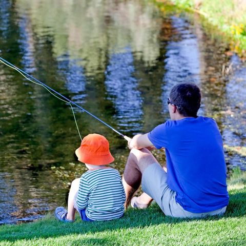 Camping Zavelbos - Belgian Limburg - Image N°5