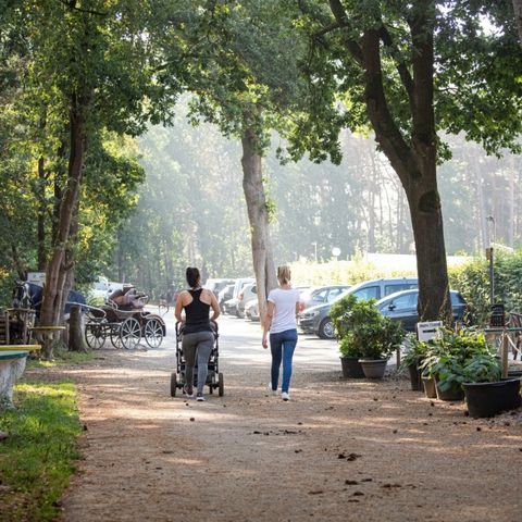 Camping Zavelbos - Belgian Limburg - Image N°4