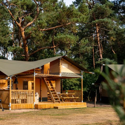Canvas and wooden tent 7 persons - Glamping tent