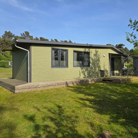 LODGE 4 people - The Green Cabin