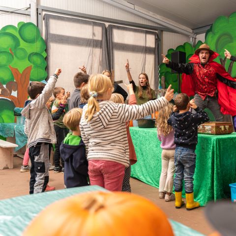 Wilsumer Berge - Lower Saxony - Image N°6