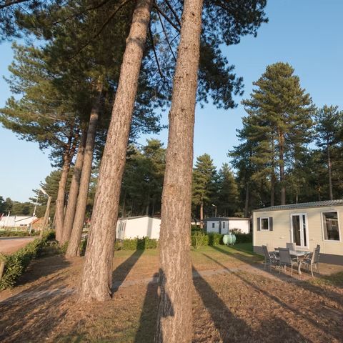 MOBILE HOME 6 people - Sun Lodges