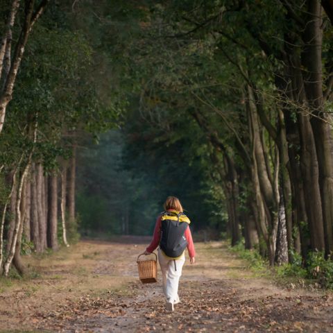 LODGE 4 people - Mobi Lodge