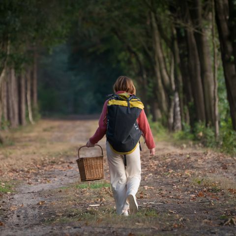 BUNGALOW 4 people - Hiker's hut