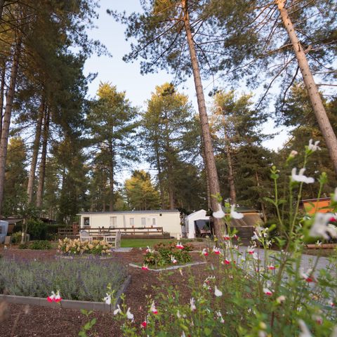 BUNGALOW 6 people - Hiker's hut large