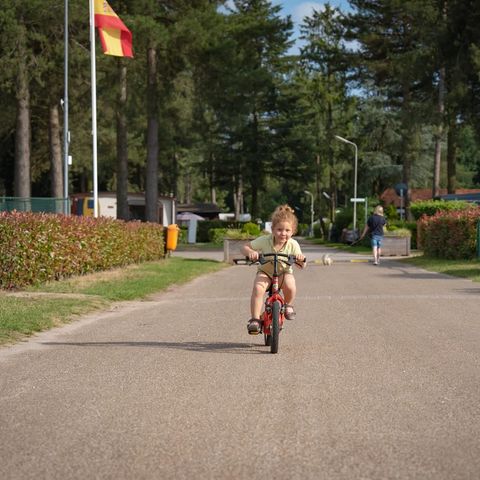 Arden Parks Tulderheyde - Antwerp - Image N°5