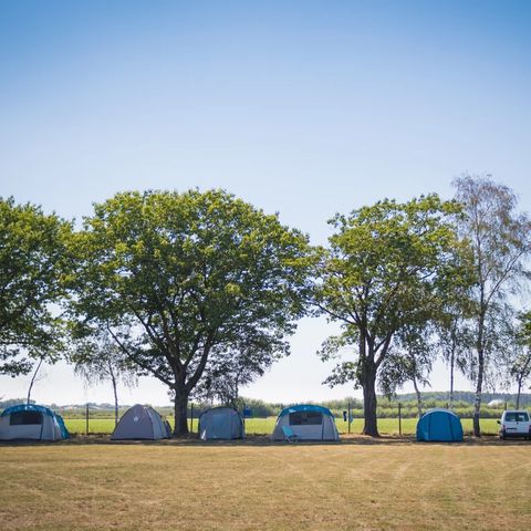 Arden Parks Tulderheyde - Antwerp - Image N°6