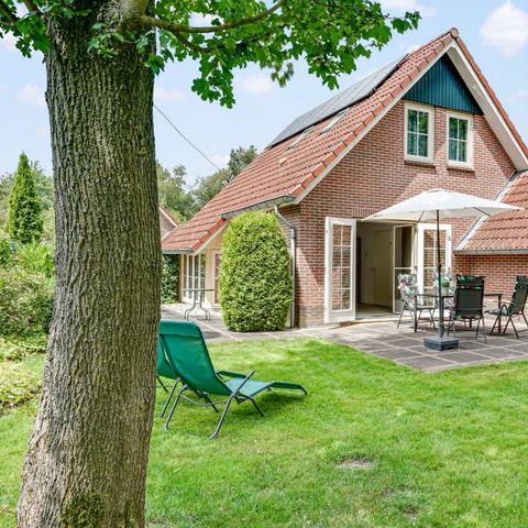 HOUSE 4 people - Song thrush Basic