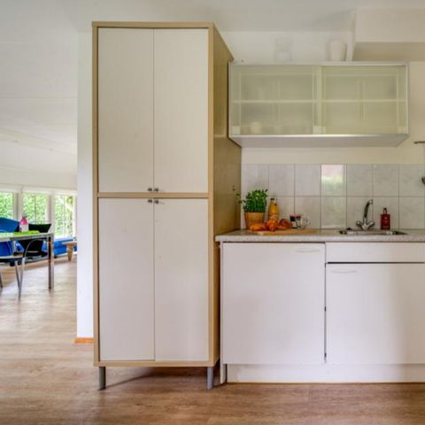 HOUSE 4 people - Song thrush Basic