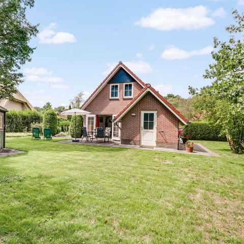 HOUSE 4 people - Song thrush Basic