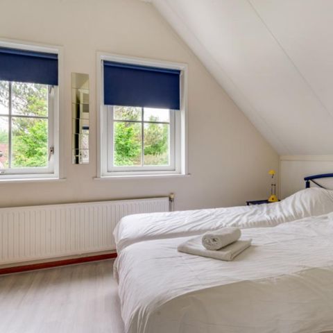 HOUSE 4 people - Song thrush Basic