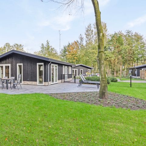 Bungalow 6 persons - Heidehoeve