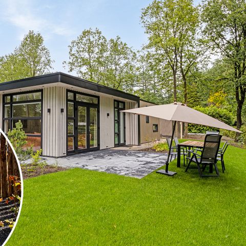 Bungalow 4 persons - Forestvlucht Wellness (Hot tub)