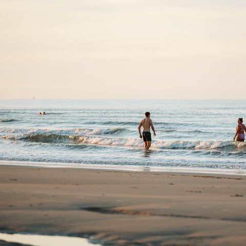 UNUSUAL ACCOMMODATION 4 people - Wraphouse Bear