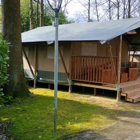 CANVAS AND WOOD TENT 6 people