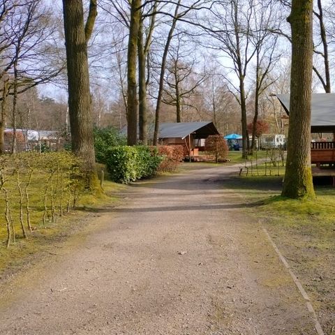 Canvas and wooden tent 6 persons