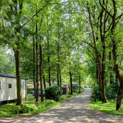 Vodatent Camping het Veen - Camping West Flanders - Image N°2