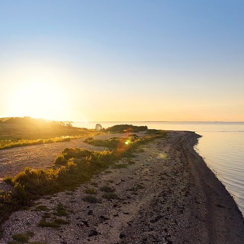 Center Parcs Nordborg Resort - Camping Southern Denmark - Image N°2