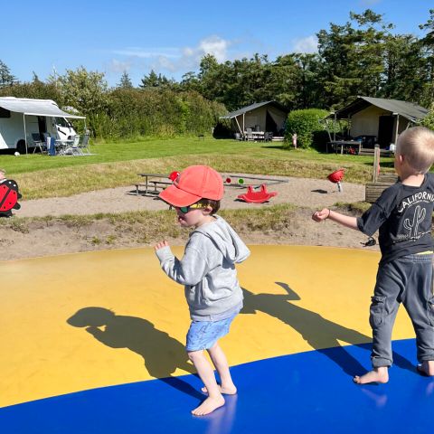 Vodatent Ballum Camping - Camping Southern Denmark - Image N°5