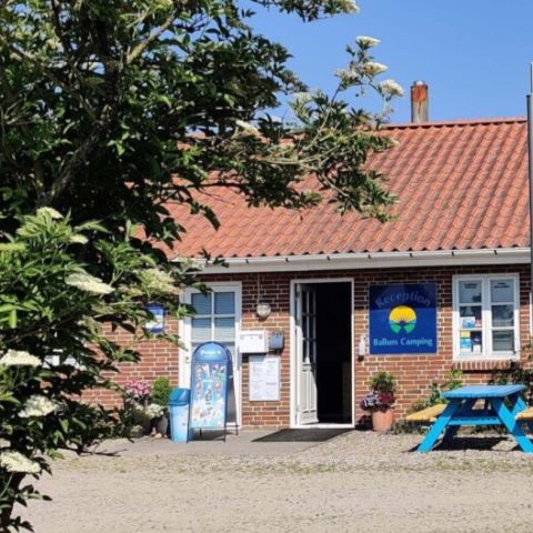 Vodatent Ballum Camping - Camping Southern Denmark - Image N°6