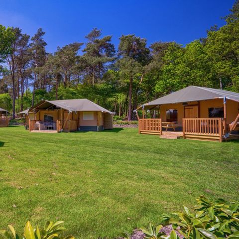 CANVAS AND WOOD TENT 6 people - including sanitary facilities