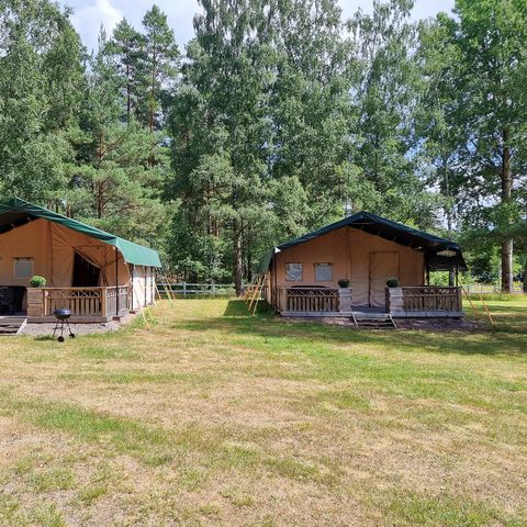 CANVAS AND WOOD TENT 6 people - incl. private sanitary facilities