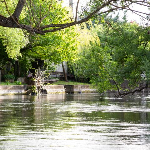 SOWELL - Domaine de la petite Isle - Luberon - Vaucluse - Image N°6